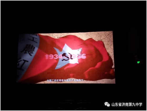 让动物飞一会